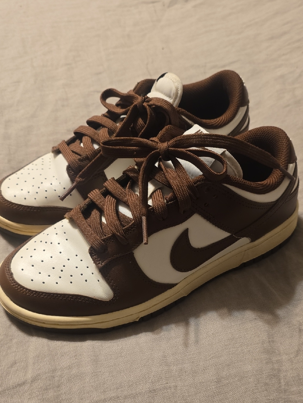 Nike Dunks Low-Top Sneakers in Brown and White